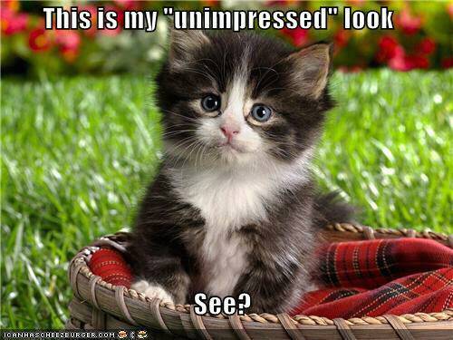 MagAtkinson's profile picture. 