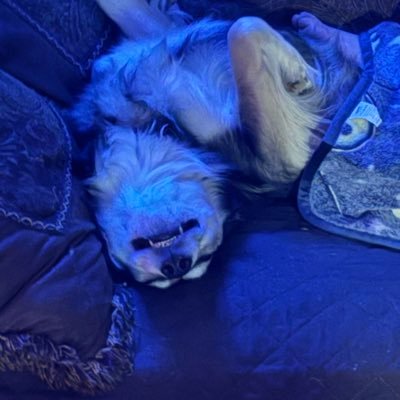 the_fam0's profile picture. Under Construction