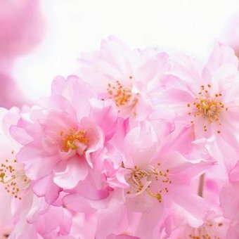 yux92777's profile picture. 