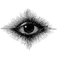 Dexter Keeling (@keelingdex76930) 's Twitter Profile