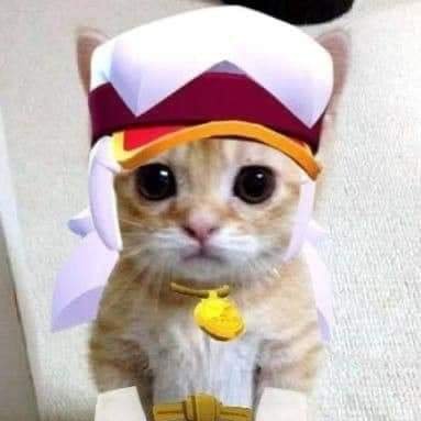 Gatito Gato