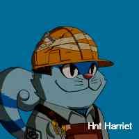 hhntharriet's profile picture. Building on bsc，tron and ethereum t.mewinnfthorse