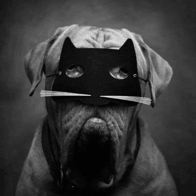 Huddy_13's profile picture. Life Quotes..

Go tell the Spartans....