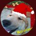 Willy Brekke-Hilll (@willyhilll36092) Twitter profile photo Willy Brekke-Hilll (@willyhilll36092) Twitter profile photo