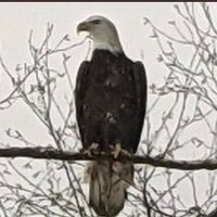 Katelin Gulgowski (@kgulgowski7548) 's Twitter Profile