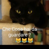Rita (@rita27546) 's Twitter Profile Photo