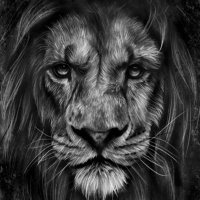 Greyson Morissette (@greysonmor63745) 's Twitter Profile