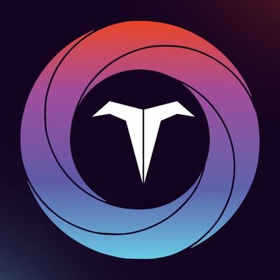 TorusChain Profile Picture