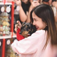 Captain🐶| GIRLFREEN◡̈ (@knwsrcf) 's Twitter Profile