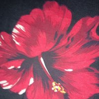 Serena Ryan (@serena_rya6135) 's Twitter Profile