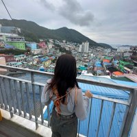 soyo トロント (@fussotravel) Twitter profile photo
