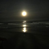 Kevin (@1funguy2) 's Twitter Profile Photo Kevin (@1funguy2) 's Twitter Profile Photo