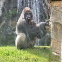 Heath Gutkowski (@gutkowskih69136) Twitter profile photo