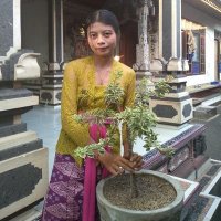 Aglae Shanahan (@aglaeshana24688) 's Twitter Profile