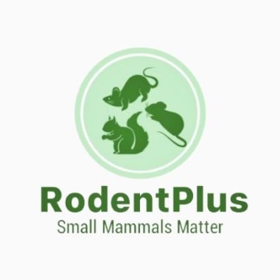 RodentPlus 🐾 | Advocating for small mammals 🌍 | Conservation, Research, and Awareness for a rodent-friendly planet 🌿 |#RodentConservation #SmallMammals