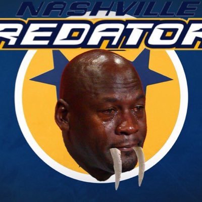 Nashville Predators fan account. Luke Evangelista Stan. Contstantly coping with heatache and misery. #perds #standwithus