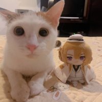 Liza Doyle (@ldoyle25997) 's Twitter Profile