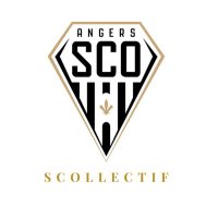 SCOllectif(@SCOllectif49) 's Twitter Profile Photo