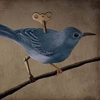 Calista Deckow (@deckow_cal49553) 's Twitter Profile