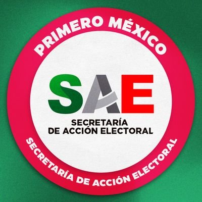 SECRETARIA DE ACCION ELECTORAL PRI OAXACA