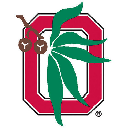 The Young Alumni of Ohio State in the OC. This is a group to update all of you on our upcoming events, OSU news, game watches, and other updates!