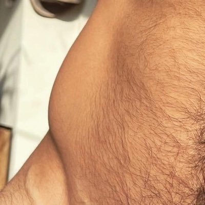 WilmerCont95560's profile picture. 