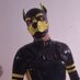 Pup Arko (@lycrashortzuk) Twitter profile photo Pup Arko (@lycrashortzuk) Twitter profile photo