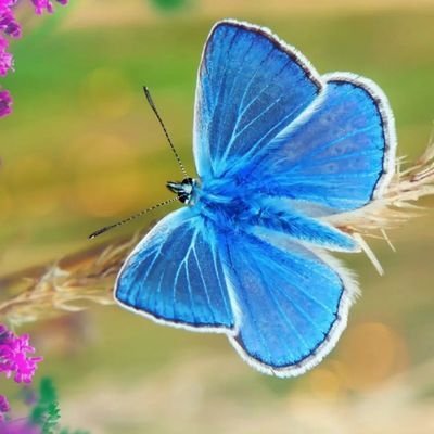 ghdyr92273637's profile picture. بكلوريوس علوم حاسبات  خريجة  ٢٠٠٤/٢٠٠٥
انصفوا الخريج القديم الشريحة التي عانت من ظلم وتهميش الحكومات السابقة