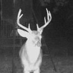 kurt_koster's profile picture. 