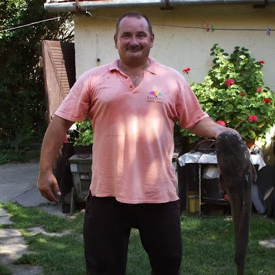 zoltn_hegyi001's profile picture. 