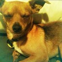 robyn christensen - @avogadRob - Twitter