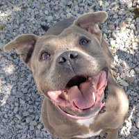 BILLES Jacqueline (@billesjacqueli2) 's Twitter Profile Photo BILLES Jacqueline (@billesjacqueli2) 's Twitter Profile Photo