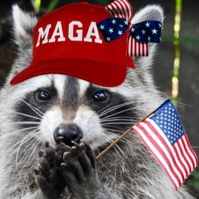 Swamp Dweller,raccoon friend, birder, mystic of nature, wildlife photographer, metal music lover. 🇺🇸 Strong believer in our nation’s constitution! No DMs