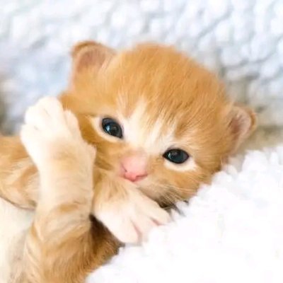 tahmina8466's profile picture. 7ANS9R5P