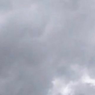 mrguy12351's profile picture. .