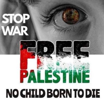 palestina_libr3's profile picture. cuenta de apoyo @mireya_Lioness