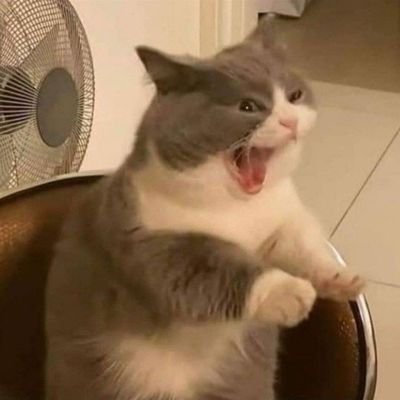 alinooravon's profile picture. 