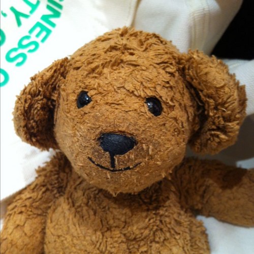 Coco Bear