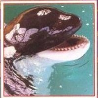 Una orca llamada Belén(@PeperinaBel) 's Twitter Profile Photo