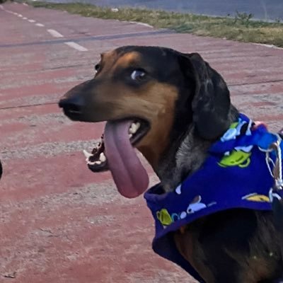 3D Game Artist, learning Tech Art and Shaders
Open to comissions
https://t.co/MiiLOsfKDn