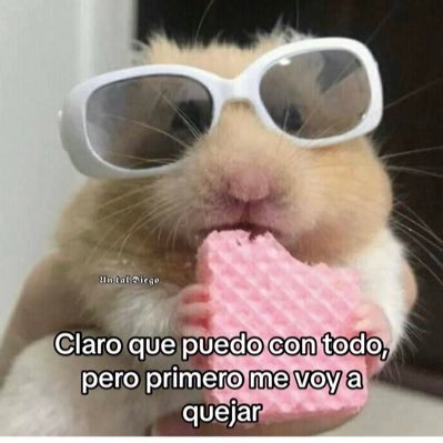 lutydv's profile picture. Tratando de entender un poquito el mundo. Mamá, maestra y oaxaqueña.