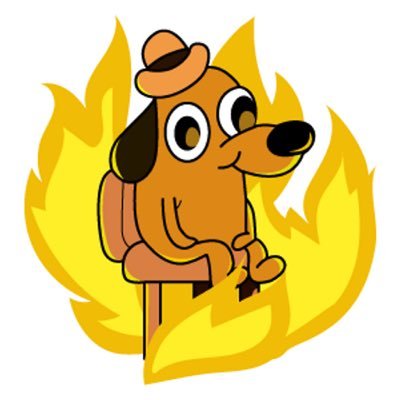 tontonrolls's profile picture. 