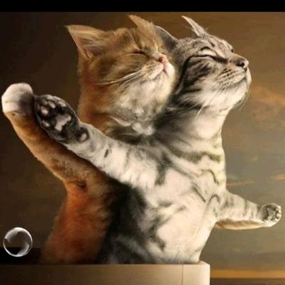 MohamedMenam14's profile picture. pharmacist 💊🧫🧪
فإن أعادوا لنا الأماكن .. فمن يعيد لنا الرفاق ؟!😪