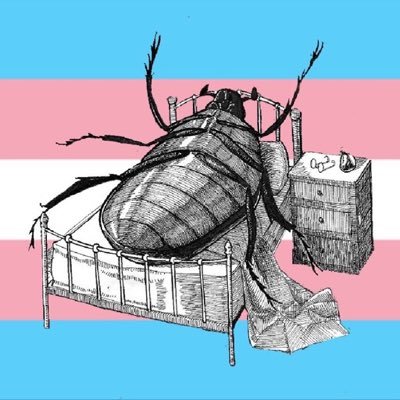 sitstaygoodboi's profile picture. Vern 🏳️‍⚧️🏳️‍🌈 usually t4t but can be persuaded otherwise ;P 18+