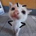 LUVE (@xloreee_smelly) Twitter profile photo LUVE (@xloreee_smelly) Twitter profile photo