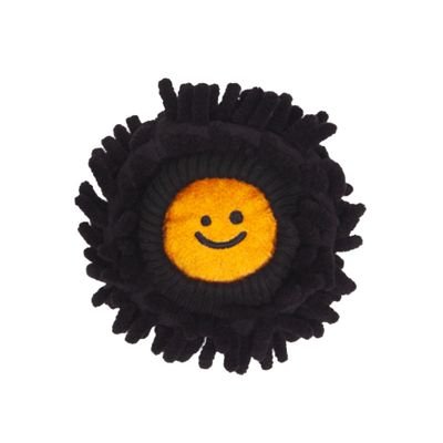 Seounggye's profile picture. 몸에 가시가 있고 동글동글 귀엽게 생겨서는 뽈뽈거리며 움직이는 친구는 과연 누구일까요?