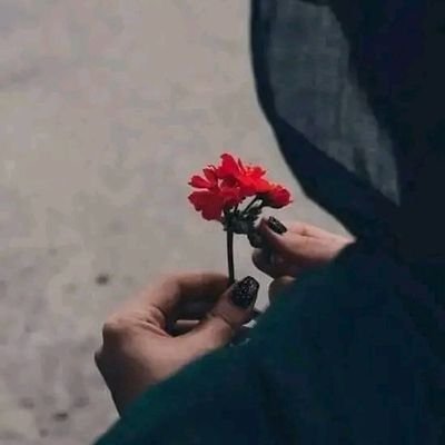 آنهای که از خدا میگویند هرگز باور نکنید پست ترین منافق ترین آند د جنس انسان وحشی ترین حیوان د چهره مسلمان بدترین ظالم ترین یهود
محمد