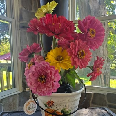 NYGardenGal's profile picture. 