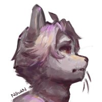 Nouan (@nouanonymous) 's Twitter Profile