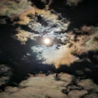 Rolland Schuut (@rollandschoot) 's Twitter Profile